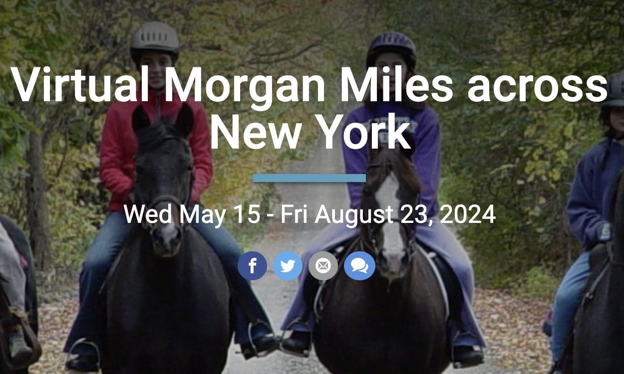 Virtual Morgan Miles Across NY 2024